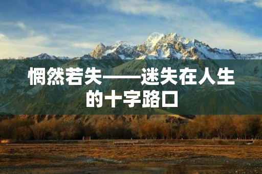 惘然若失——迷失在人生的十字路口