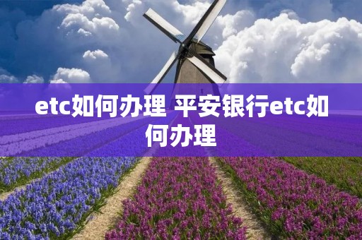 etc如何办理 平安**etc如何办理 etc如何办理 平安**etc如何办理