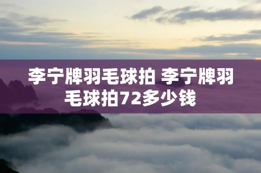 李宁牌羽毛球拍 李宁牌羽毛球拍72多少钱
