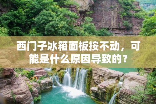 西门子冰箱面板按不动，可能是什么原因导致的？