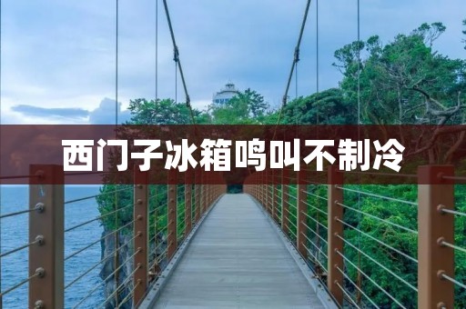 西门子冰箱鸣叫不制冷：详细故障排除与维修指南