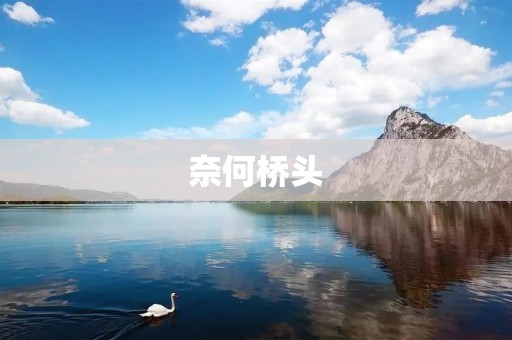 奈何桥头：重重考验下的生死抉择