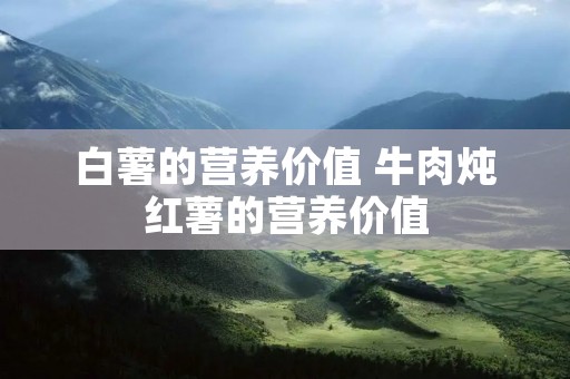 白薯的营养价值 牛肉炖红薯的营养价值