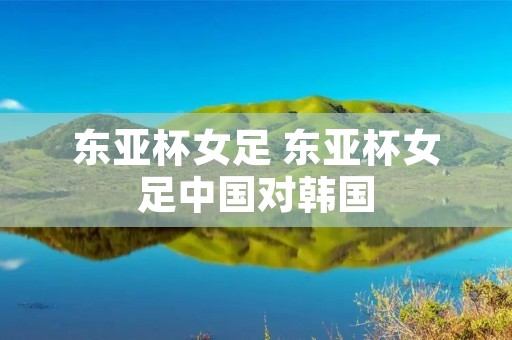 东亚杯女足 东亚杯女足中国对韩国