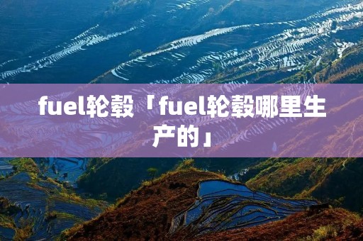 fuel轮毂「fuel轮毂哪里生产的」