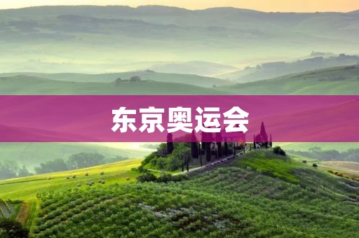 东京奥运会:参与国家数量与全球参与度 东京奥运会:参与国家数量与全球参与度