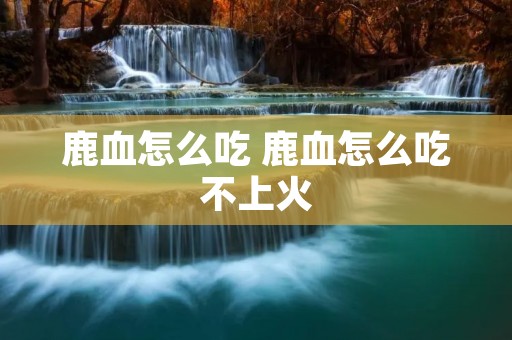 鹿血怎么吃 鹿血怎么吃不上火