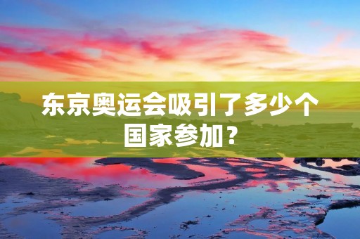 东京奥运会吸引了多少个国家参加？