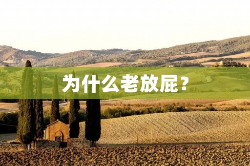 为什么老放屁?