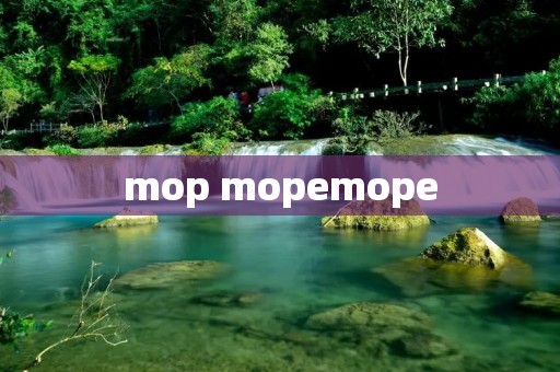 mop mopemope