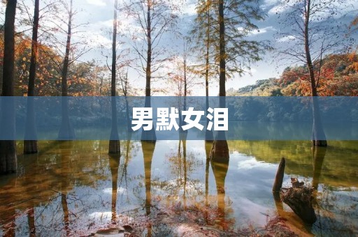 男默女泪:一段情感故事的真实写照
