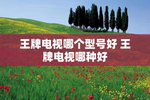 王牌电视哪个型号好 王牌电视哪种好