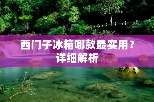 西门子冰箱哪款最实用？详细解析