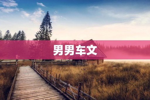 男男车文:一场纯粹的爱情之旅