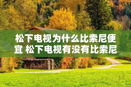 松下电视为什么比索尼便宜 松下电视有没有比索尼电视质量好