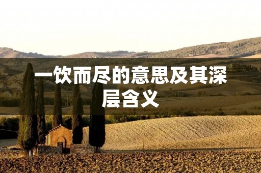 一饮而尽的意思及其深层含义