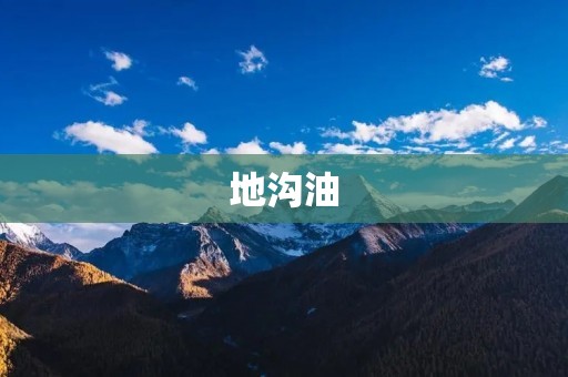 地沟油:一种危害健康的食用油
