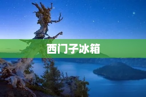 西门子冰箱：德国制造的高品质家电