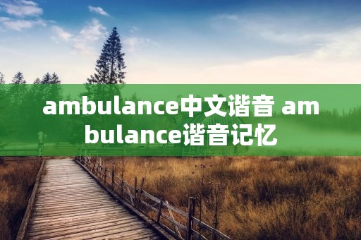 ambulance中文谐音 ambulance谐音记忆