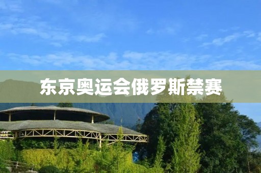 东京奥运会俄罗斯禁赛:国际体育舞台上的道德边界 东京奥运会俄罗斯禁赛:国际体育舞台上的道德边界