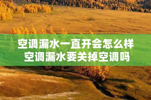 空调漏水一直开会怎么样 空调漏水要关掉空调吗