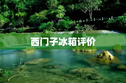 西门子冰箱评价：高品质与先进技术的完美结合