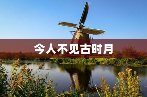 今人不见古时月
