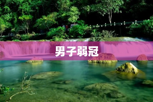 男子弱冠:追逐梦想的奋斗之路