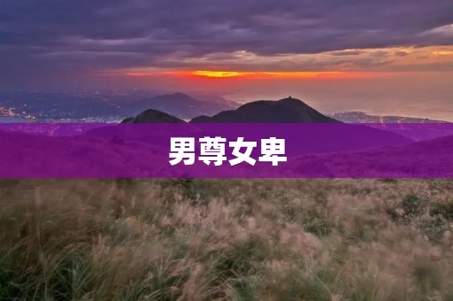 男尊女卑:探索性别不平等的深层原因和影响