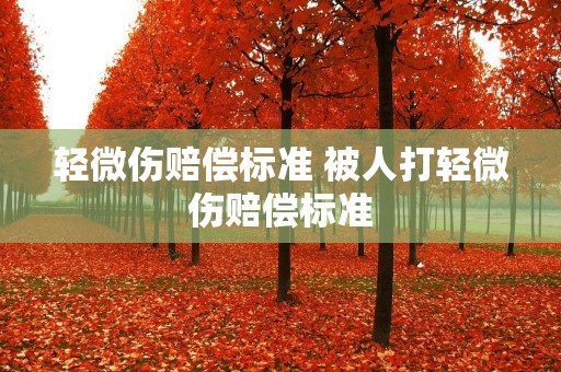 轻微伤赔偿标准 被人打轻微伤赔偿标准