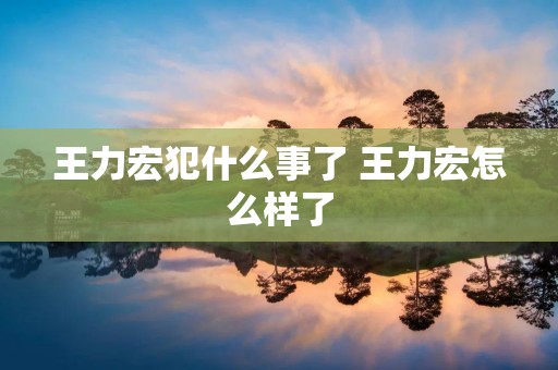 王力宏犯什么事了 王力宏怎么样了 王力宏犯什么事了 王力宏怎么样了