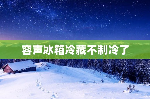 容声冰箱冷藏不制冷了：可能的原因和解决方法