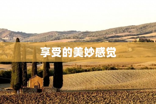 享受的美妙感觉