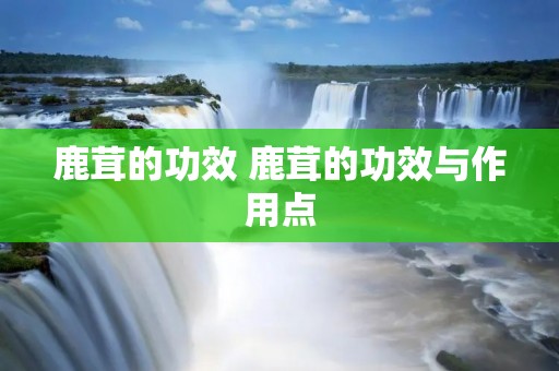 鹿茸的功效 鹿茸的功效与作用点