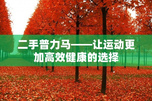 二手普力马——让运动更加高效健康的选择 二手普力马——让运动更加高效健康的选择