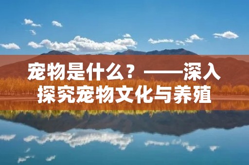 宠物是什么?——深入探究宠物文化与养殖