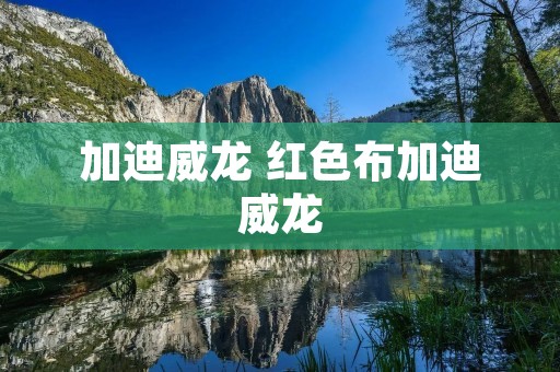 加迪威龙 红色布加迪威龙 加迪威龙 红色布加迪威龙
