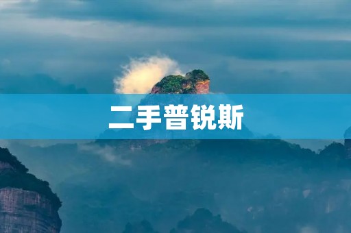 二手普锐斯：让环保与经济共存的选择