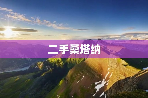 二手桑塔纳:值得购买的理由 二手桑塔纳:值得购买的理由