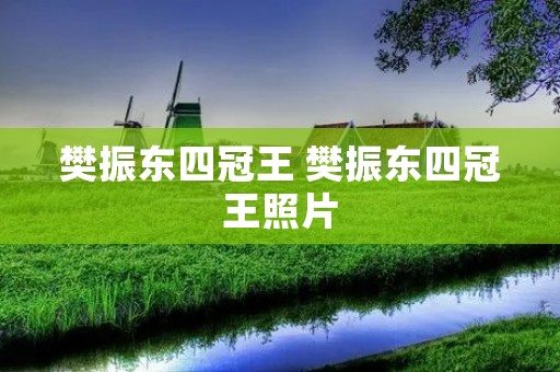 樊振东四冠王 樊振东四冠王照片 樊振东四冠王 樊振东四冠王照片