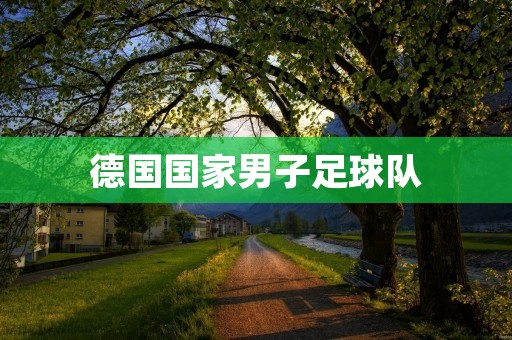 德国国家男子足球队:从起步到辉煌 德国国家男子足球队:从起步到辉煌