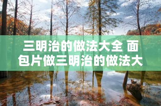 三明治的做法大全 面包片做三明治的做法大全