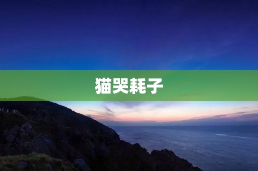 猫哭耗子:揭秘猫咪的“猫腻” 猫哭耗子:揭秘猫咪的“猫腻”