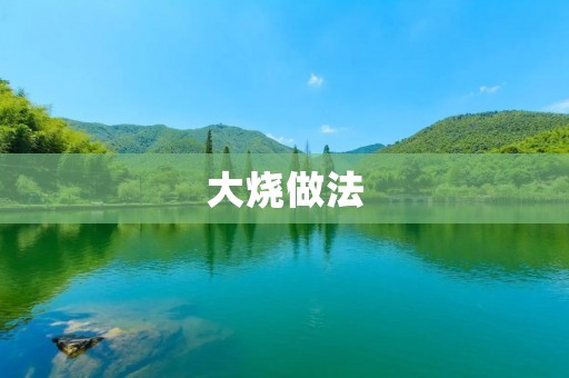大烧做法:一种简单易学的美食制作方法 大烧做法:一种简单易学的美食制作方法