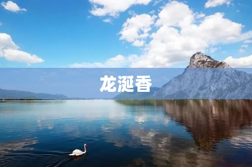 龙涎香:珍贵的香料与药材