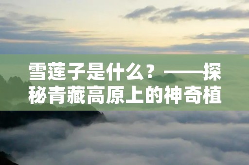 雪莲子是什么?——探秘青藏高原上的神奇植物