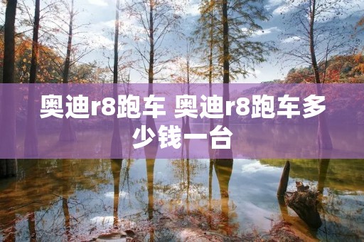 奥迪r8跑车 奥迪r8跑车多少钱一台