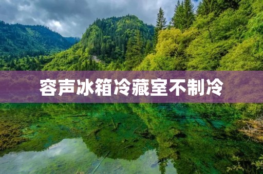 容声冰箱冷藏室不制冷：原因及解决方法