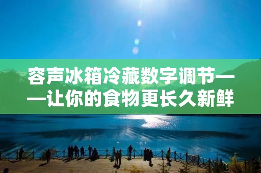 容声冰箱冷藏数字调节——让你的食物更长久新鲜