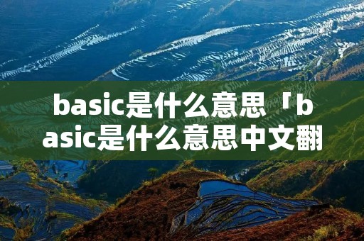 basic是什么意思「basic是什么意思中文翻译是什么意思」